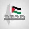 mehamad.lohhab