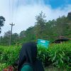 hllo.billa
