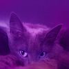 itzzz._natalie