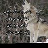 ahmad___00582