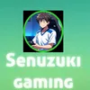 senuzuki_gaming