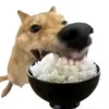 uaydangyeuvaytroi003