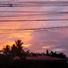 thxrdy_223