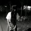 xy_icaa