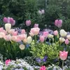 khanhh_huyen01