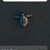 user5849026135220