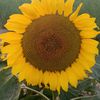 user8490015621851