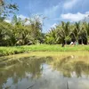 minhminh119811