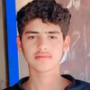 hamidbhatti415