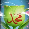 shahidkhan_official03