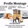 profismontage