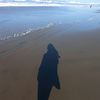 vee_13101