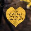 shmsalwesal