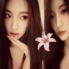 jha_rawr