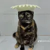 buithetu0