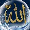 user9481872167561