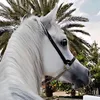 atheer3232