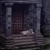 maylixgjfj4