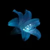 clara_w321