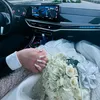 rahand.giyan6