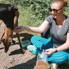 alfielunamoosesillyhound