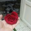 alaaaslan375