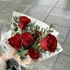 user2alaafozy3