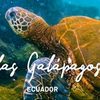 librepensador65ovni