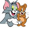 rocky.anwar.mbbs