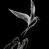 .abu.hani