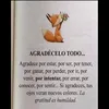 silvia.del.pilar8
