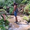 jamrockboy