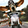 jfegra