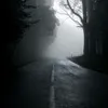 revealedminds