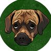 its.bruno.puggle