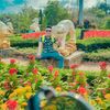 beton_ho98
