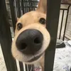 ilyhuynhnhu01