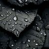 wiles_36