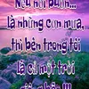 user12333333335566666755