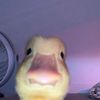 ytkanos2283