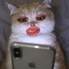 hiiiniecaa_