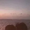 nghann_4399