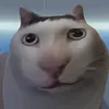domdombietbayj97