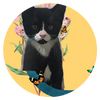 minniekitty340