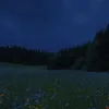 german_mapper37