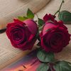 ............raj........2