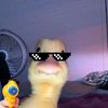 yusufbaba496