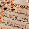 user8731013460248