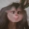ngh_pngan