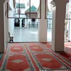 chakib